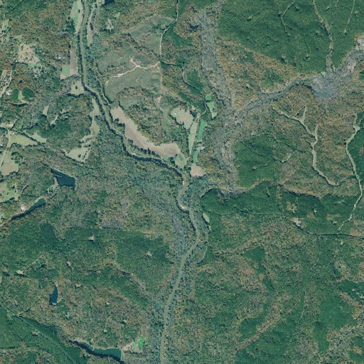 Aerial imagery of Wire Bridge (historical), GA