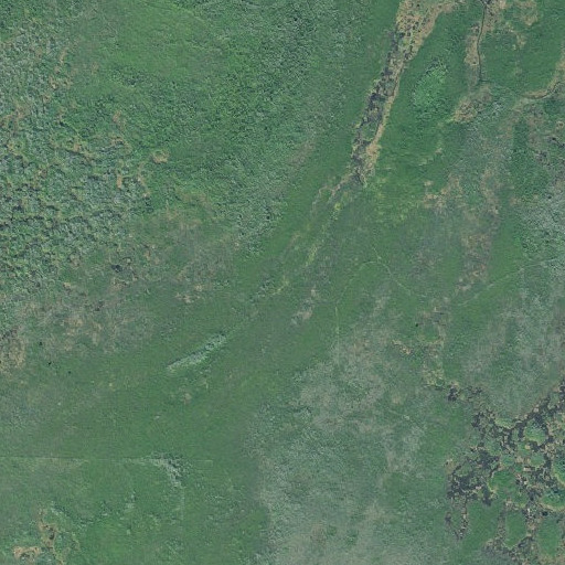 Aerial imagery of Perch Lake, GA