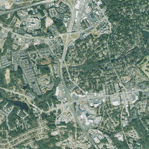 Aerial imagery of Springfield, GA