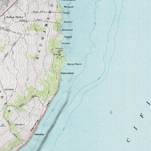 USGS 24K topo map of Kimo Point, HI