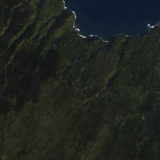 Aerial imagery of Pali Spring, HI