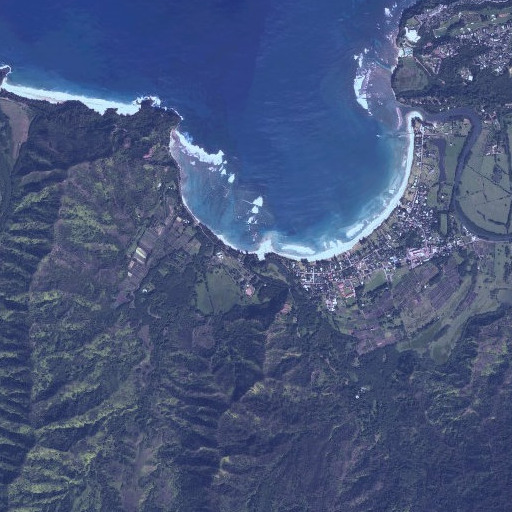 Aerial imagery of Waiʻoli Stream, HI