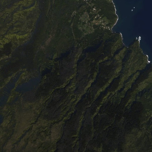 Aerial imagery of West Wailua Nui Stream, HI