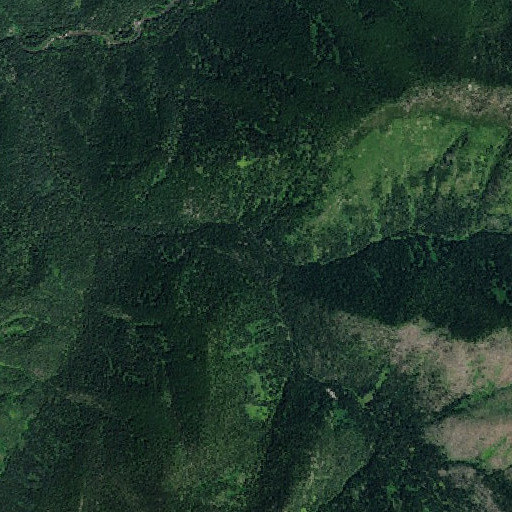 Aerial imagery of Basin Creek, ID