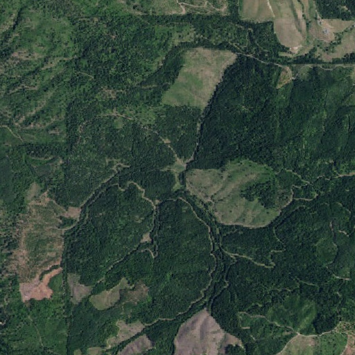 Aerial imagery of Browns Meadow, ID