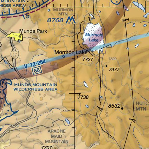 FAA VFR chart of Tree Spring, AZ