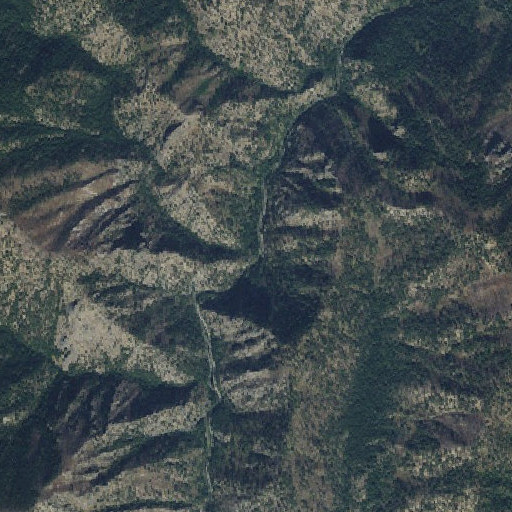Aerial imagery of Echo Creek, ID