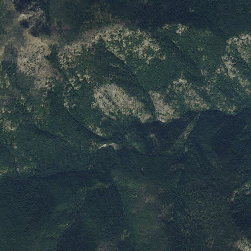 Aerial imagery of Fox Park, ID