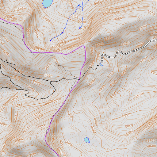 OpenTopoMap map of Goldstone Pass, ID