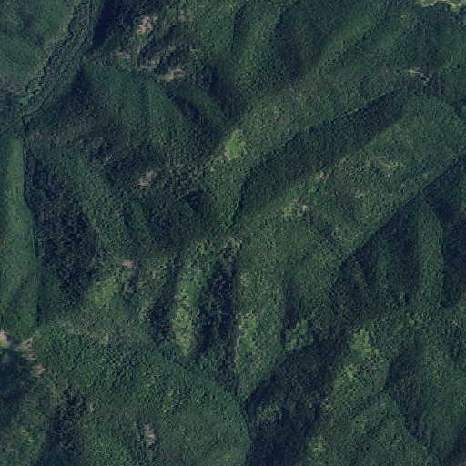 Aerial imagery of Lamb Peak, ID