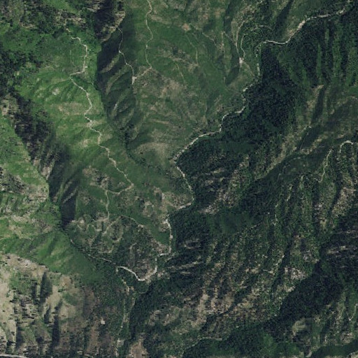 Aerial imagery of Logging Gulch, ID