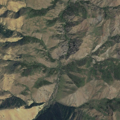 Aerial imagery of Prunty Creek, ID
