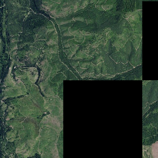 Aerial imagery of Queener Creek, ID