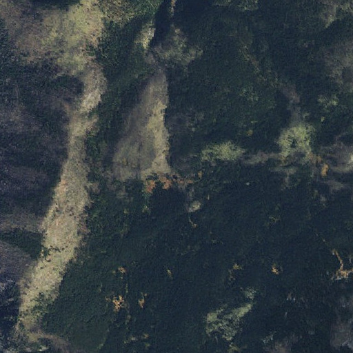 Aerial imagery of Shake Cabin, ID