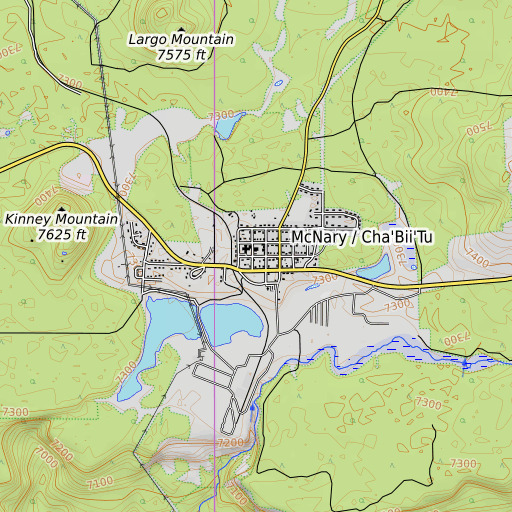 OpenTopoMap map of McNary High School, AZ