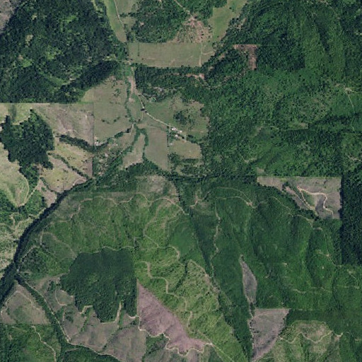 Aerial imagery of Tenas Creek, ID