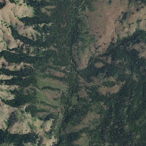 Aerial imagery of Third Fork Guard Station, ID