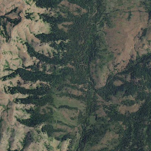 Aerial imagery of Third Fork Project Camp, ID