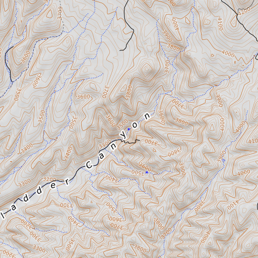 OpenTopoMap map of Bladder Spring, AZ