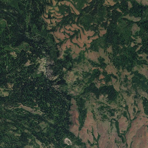 Aerial imagery of Ferguson Basin, ID