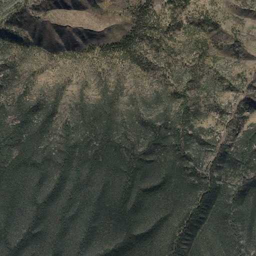 Aerial imagery of Upper McBride Spring, AZ
