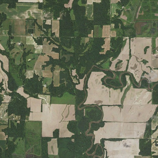 Aerial imagery of Bolt Creek, IL