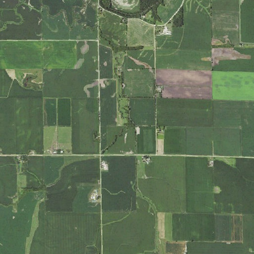 Aerial imagery of Boone Branch, IL