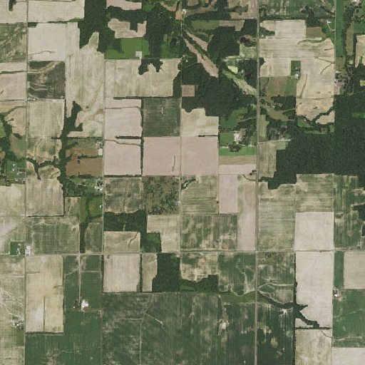 Aerial imagery of Buchanan School (historical), IL