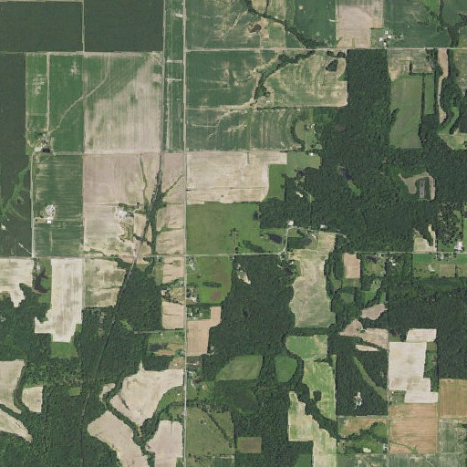 Aerial imagery of Coops Mound, IL