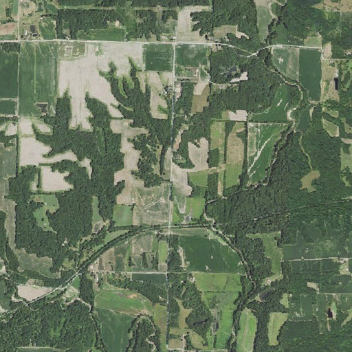 Aerial imagery of Duffield School (historical), IL