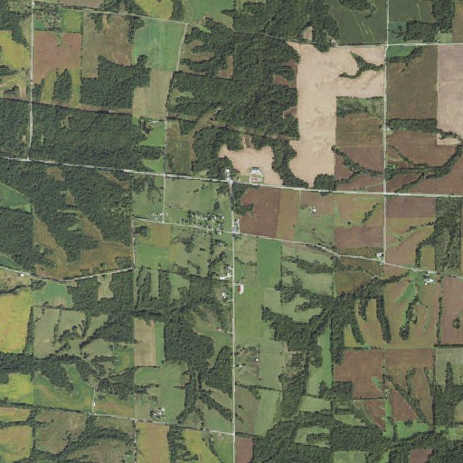 Aerial imagery of Fishhook, IL