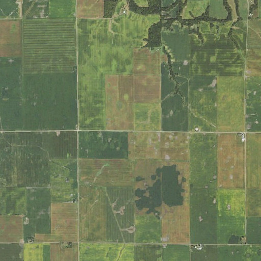 Aerial imagery of Foster School (historical), IL