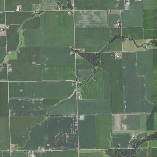 Aerial imagery of Gorham School, IL