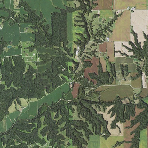 Aerial imagery of Grant School (historical), IL