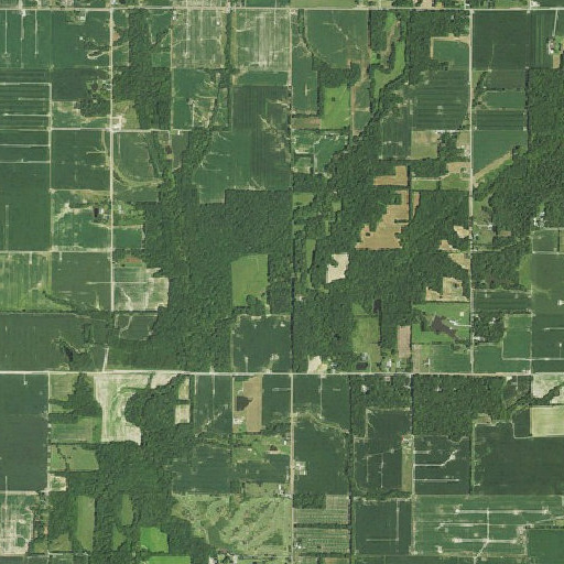 Aerial imagery of Grassy Creek, IL