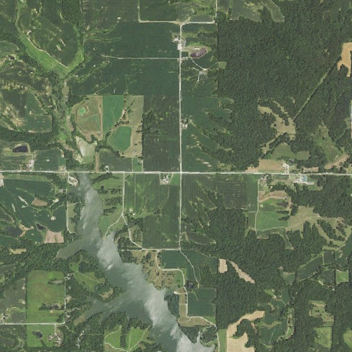Aerial imagery of Greenfield School (historical), IL
