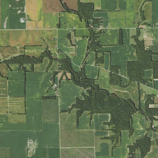 Aerial imagery of Lambs Branch, IL
