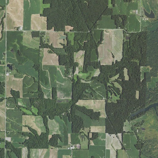 Aerial imagery of Lick Branch, IL