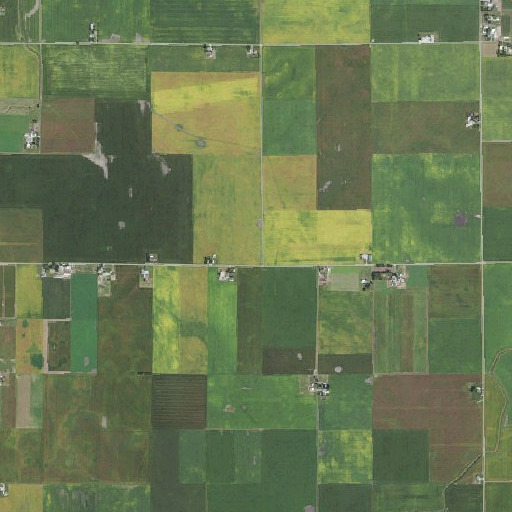 Aerial imagery of Lilly School (historical), IL
