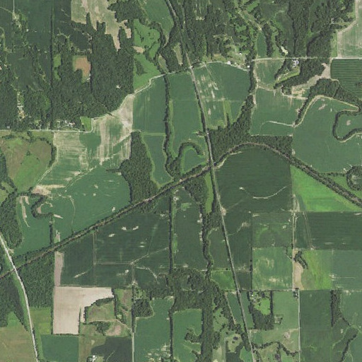Aerial imagery of Link Branch, IL