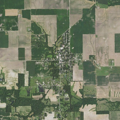 Aerial imagery of Loami, IL