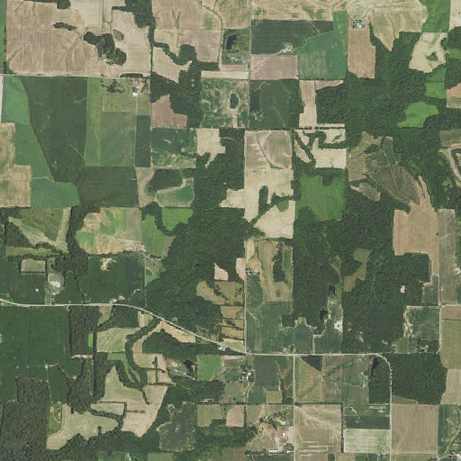 Aerial imagery of Locust Creek, IL
