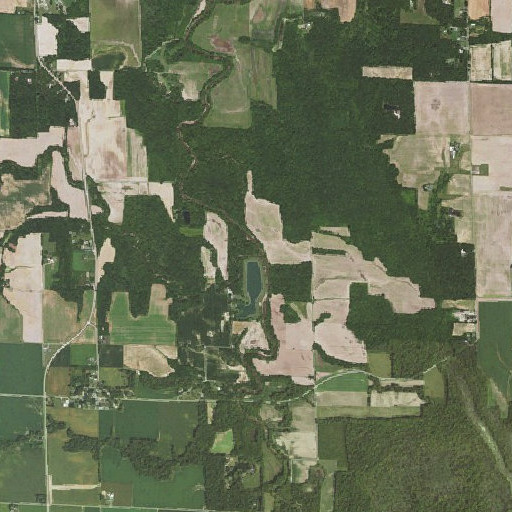 Aerial imagery of Locust Fork, IL