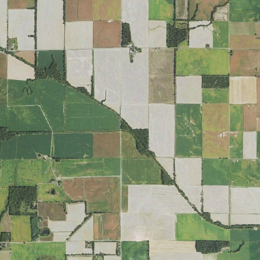 Aerial imagery of Long Branch, IL