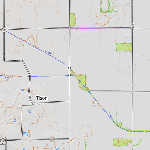 OpenTopoMap map of Long Branch, IL