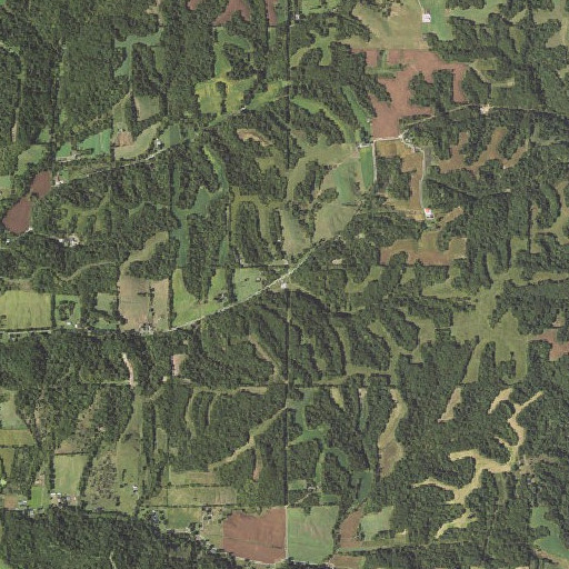Aerial imagery of Lost Hollow, IL