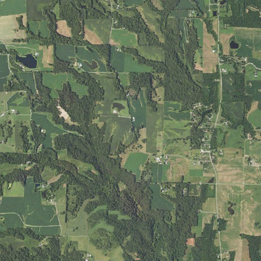 Aerial imagery of Mann Cemetery, IL