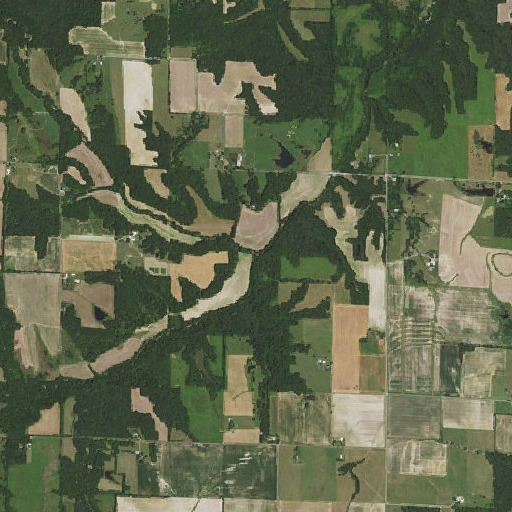 Aerial imagery of Matney Branch, IL