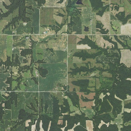 Aerial imagery of Maynard School (historical), IL