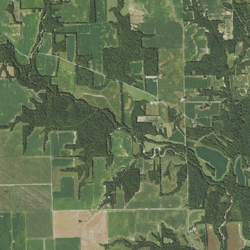 Aerial imagery of McNary Branch, IL